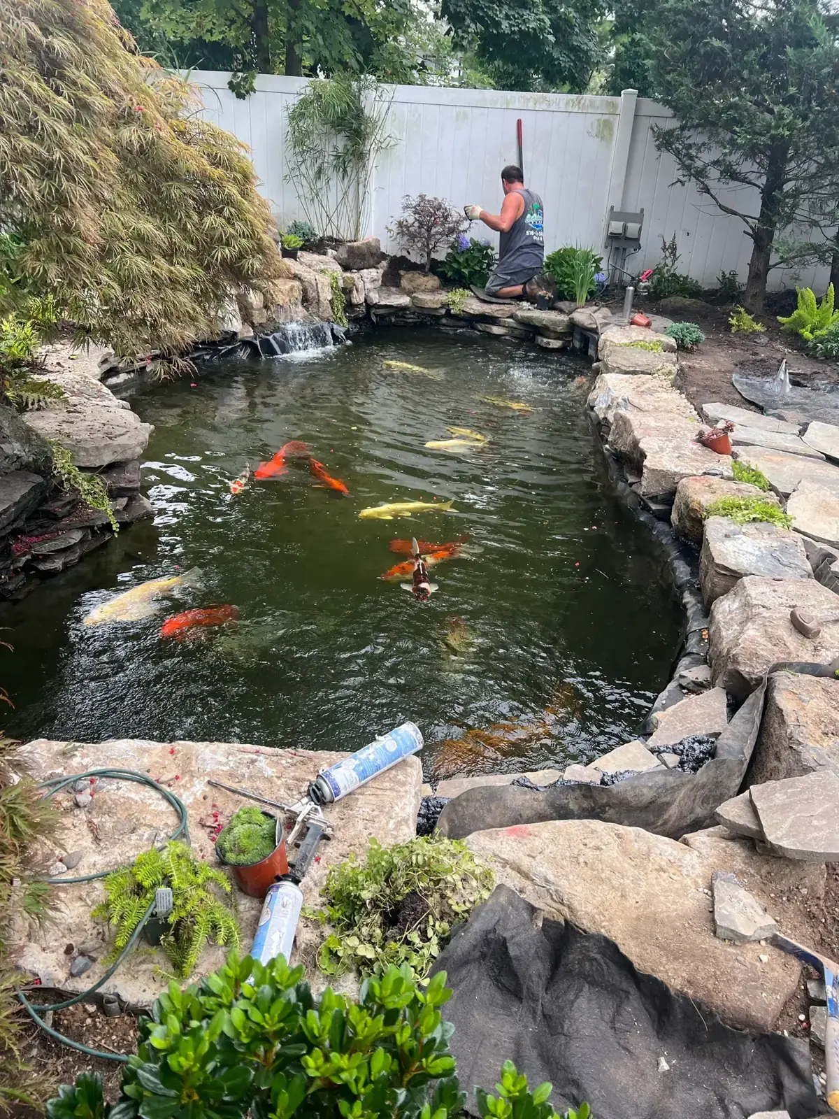 Koi pond construction with koi and waterfall in Bellmore, Nassau County