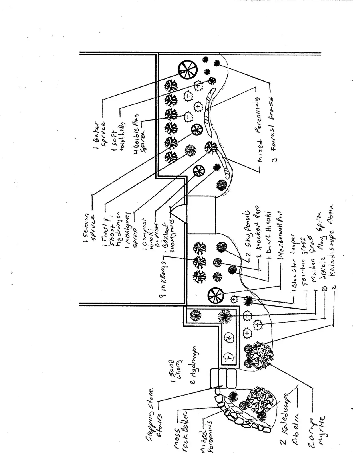 Hand drawn front yard planting plan by Scott Anderson with stepping stone stairs and mixed perennials