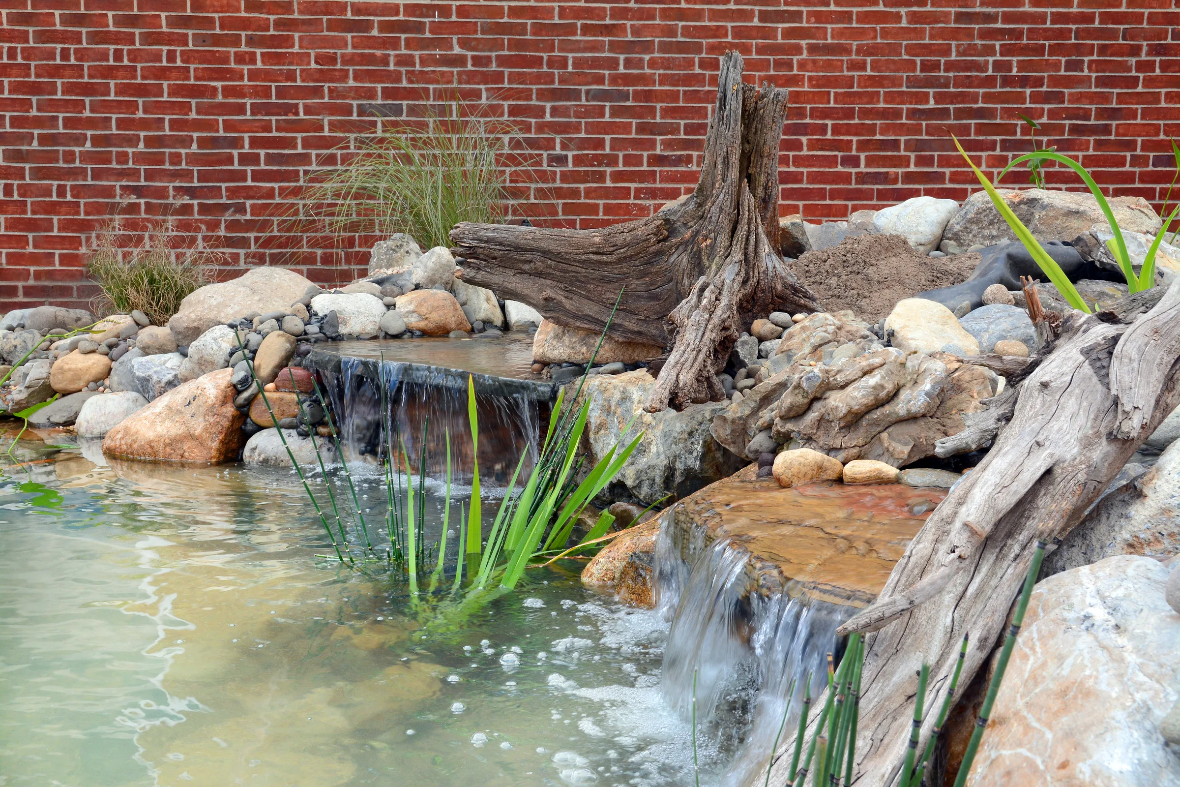 CS2 — koi pond completed (2)