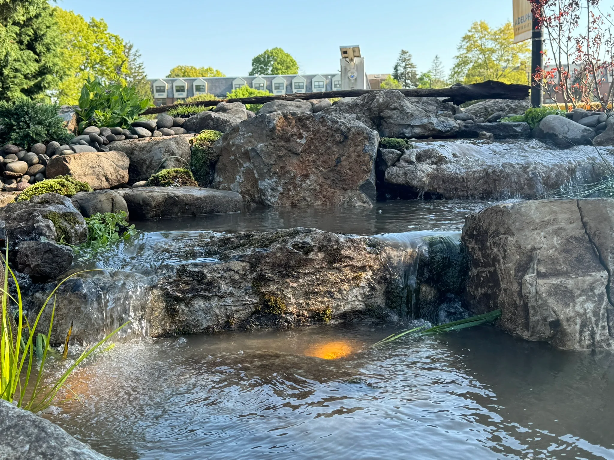 CS3 — ecosystem pond completed (2)