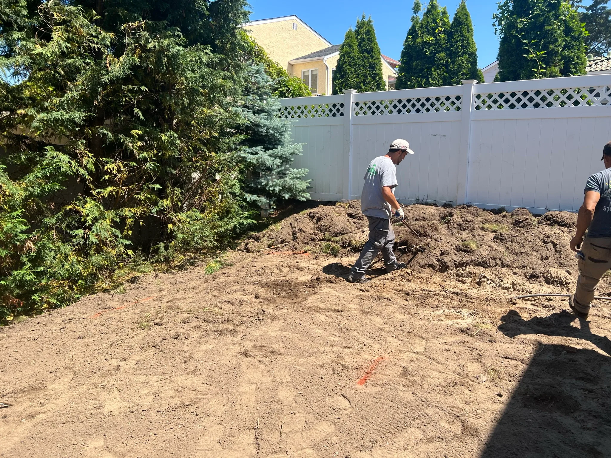 CS5 — bare backyard before work
