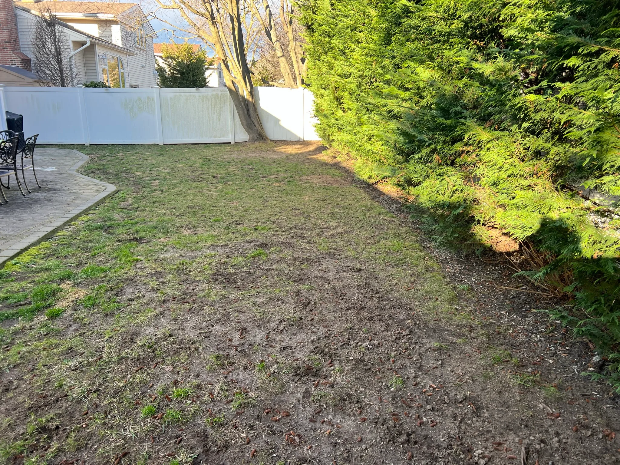 CS6 — patchy lawn before installation
