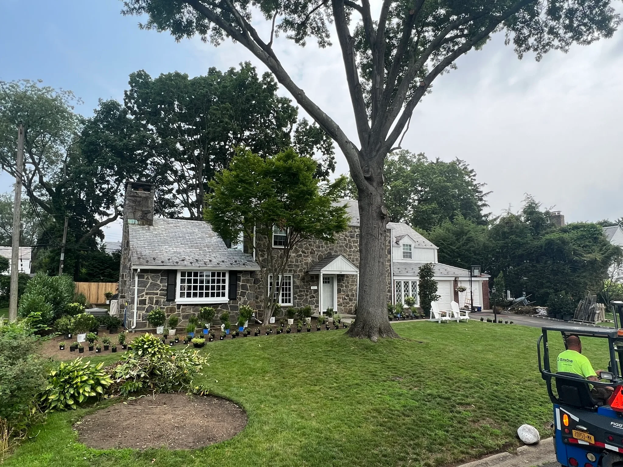 CS7 — front plantings and lighting completed