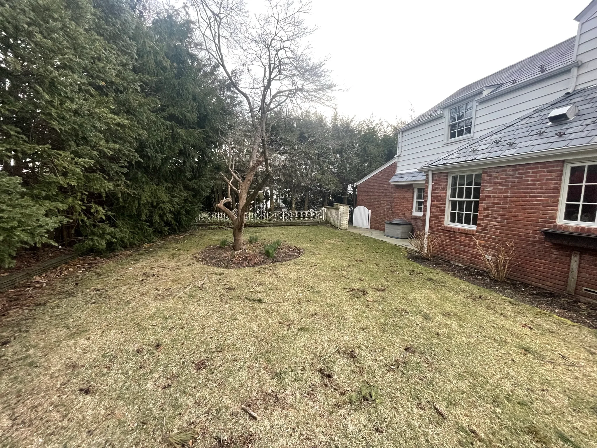 CS7 — rear yard before work